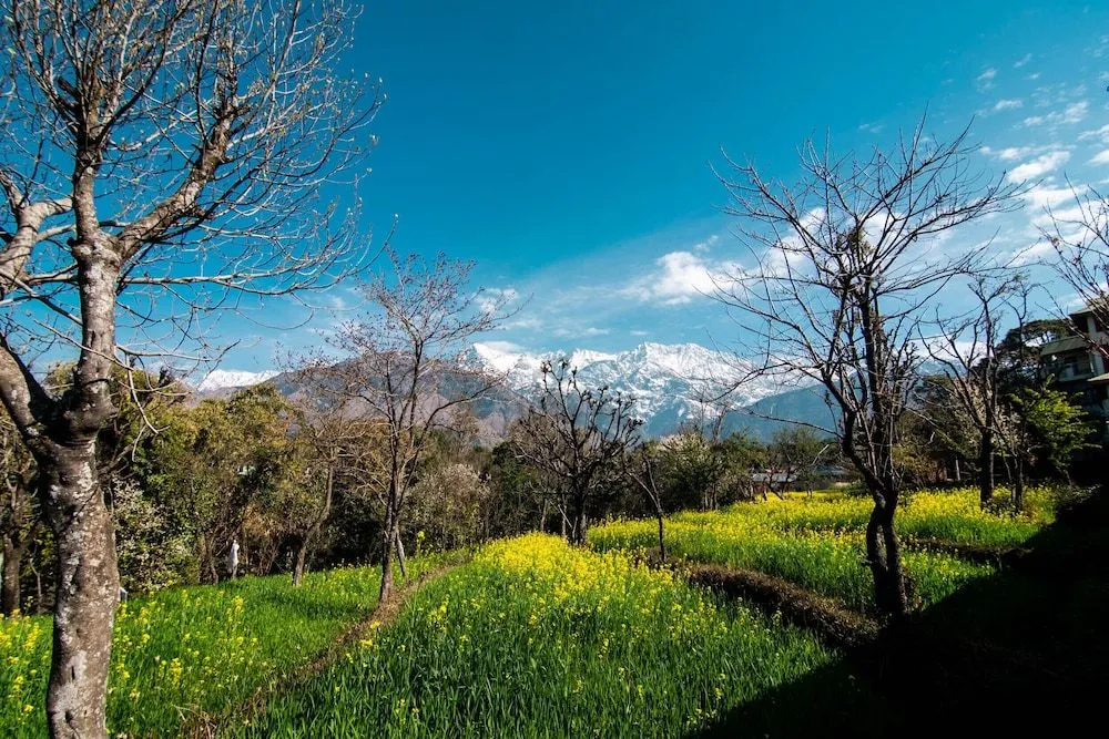 Ketav's Ayush Health Paradise