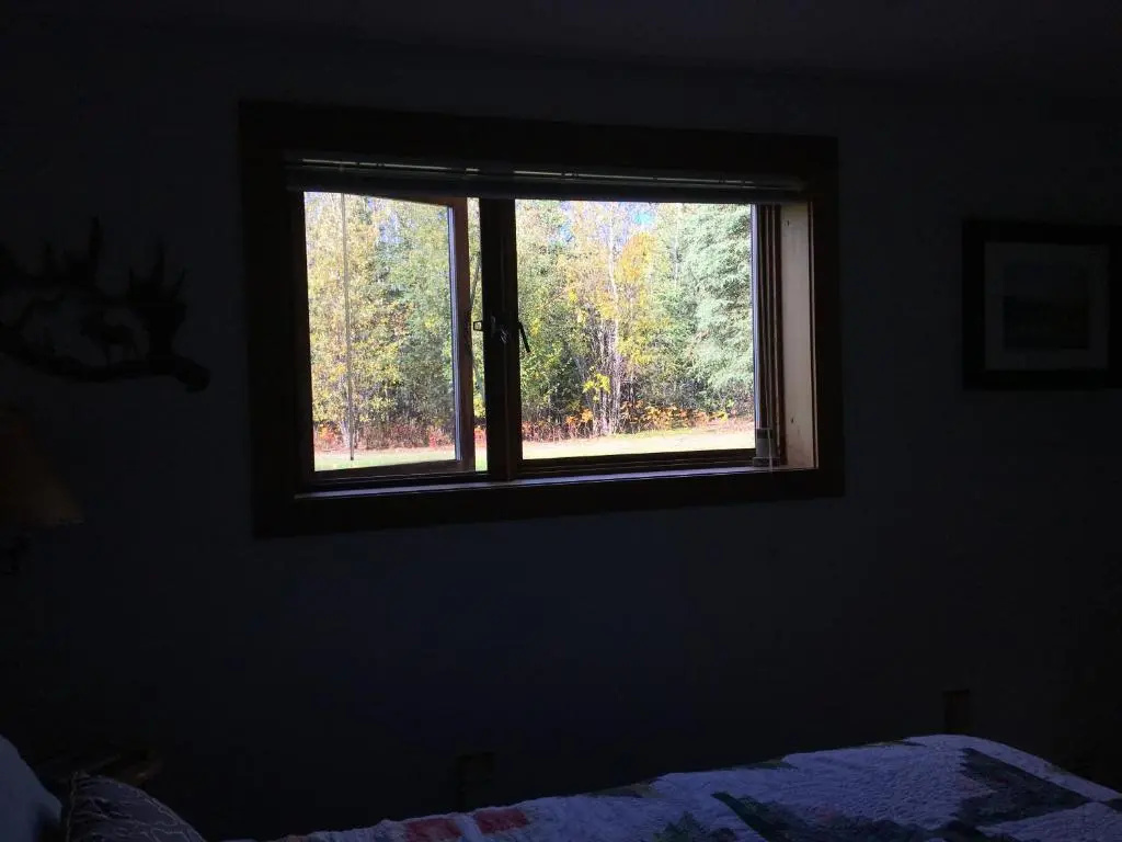 Sawing Logzz Cabin