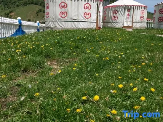 Longxian Jinhu Grassland Homestay