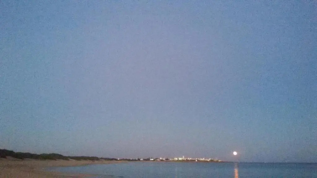 Stellasalentina