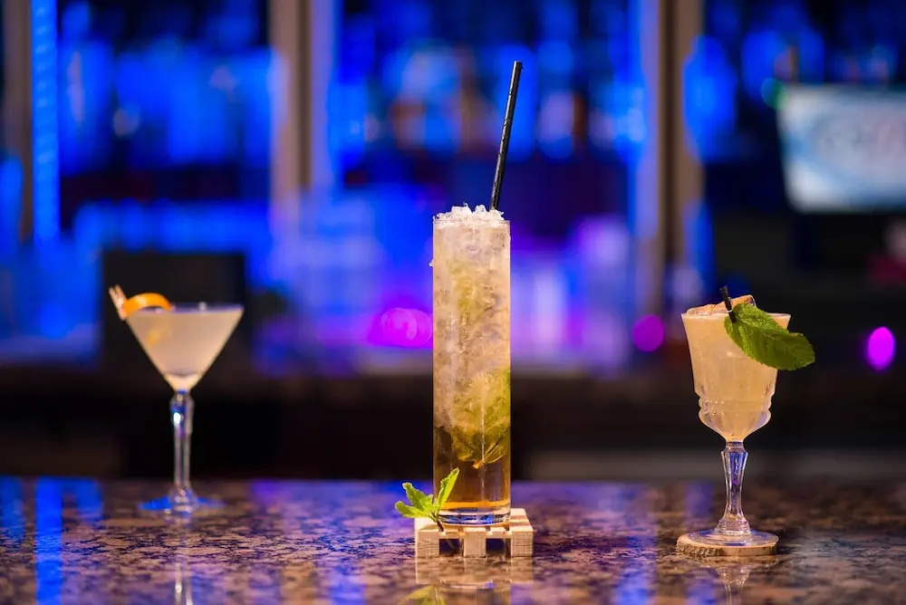 The Twelve Hotel