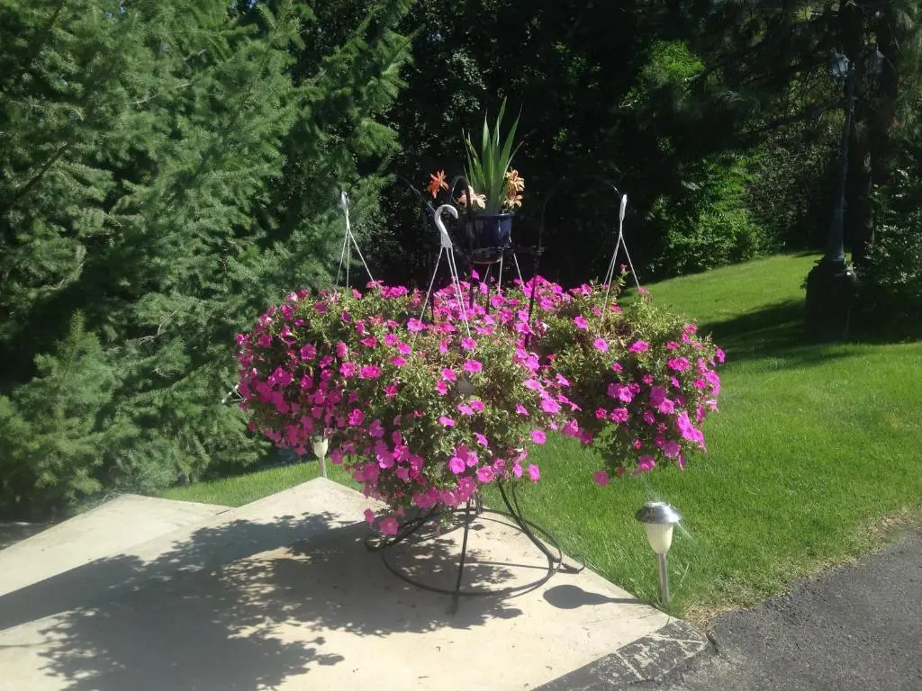 Eagle's Nest B&B