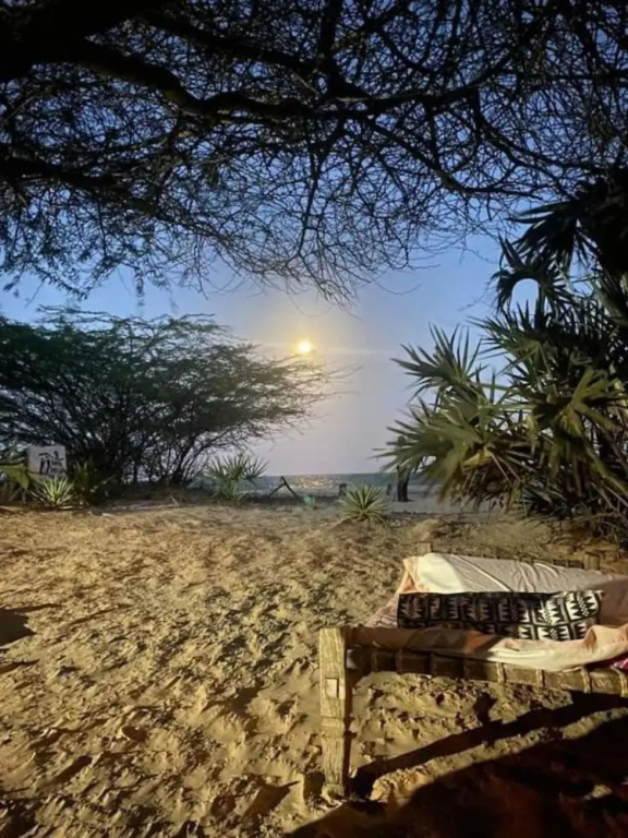 Barefoot Beach Camp