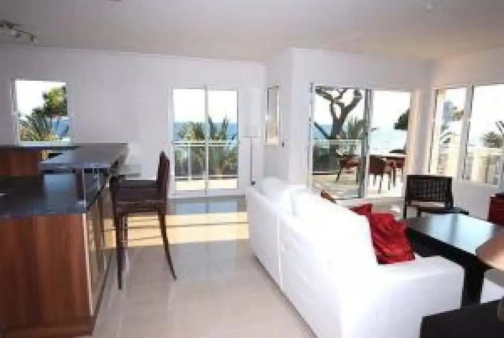 Royal Palm 218