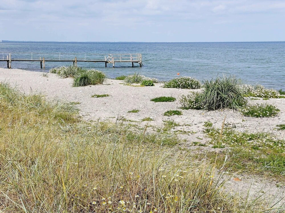 Pleasing Holiday Home in Syddanmark near Sea