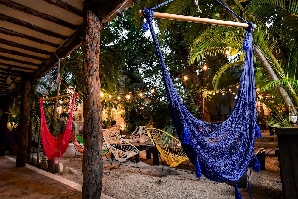Hostal MX 5th Avenue - Hostel