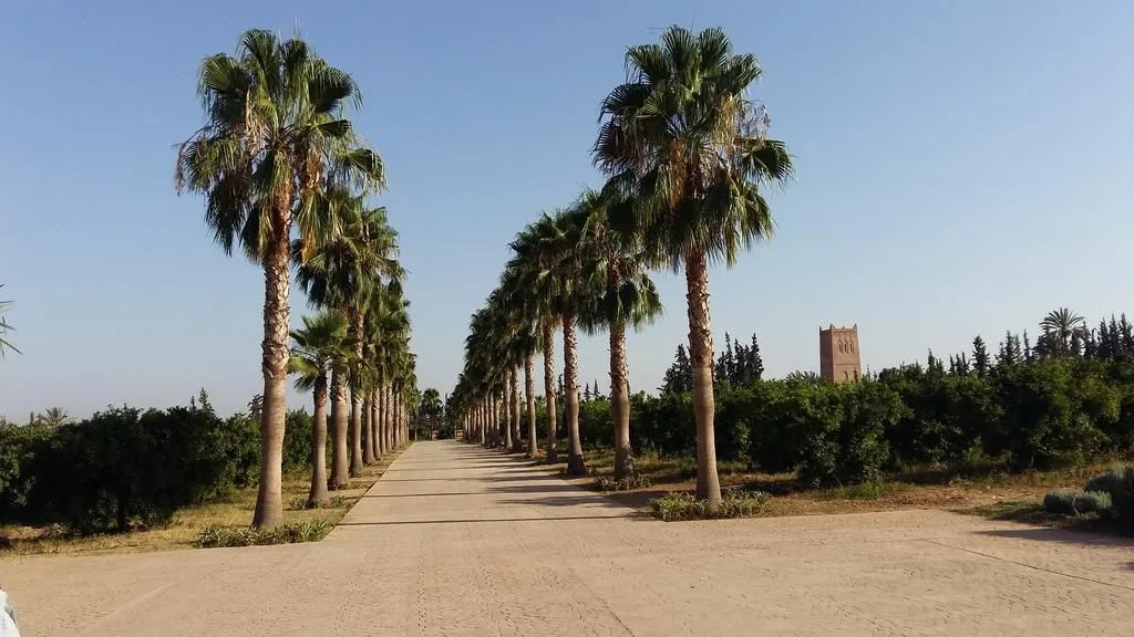 Palais Claudio Bravo