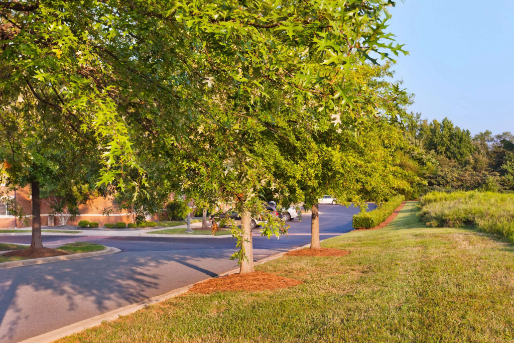 Sonesta Simply Suites Charlotte University