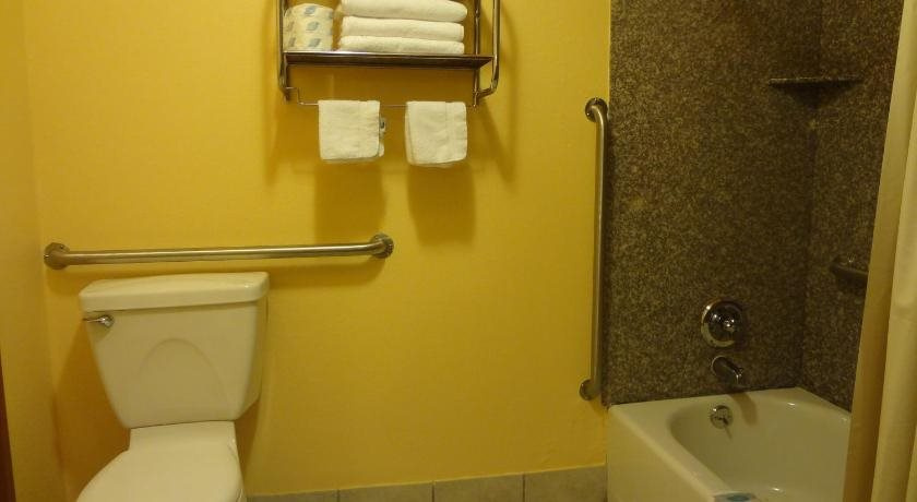 Antlers Inn Goliad