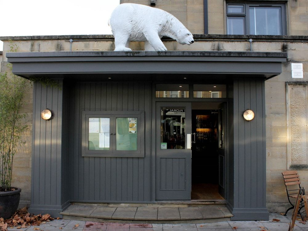 The Bear