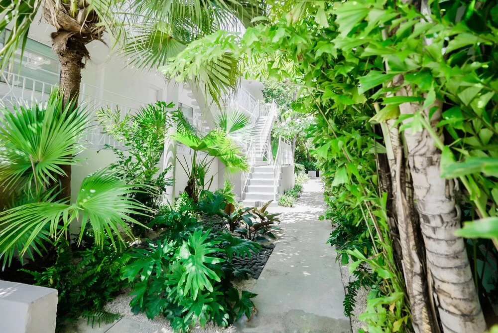 PRAIA Boutique Hotel 5min Miami Beach 45