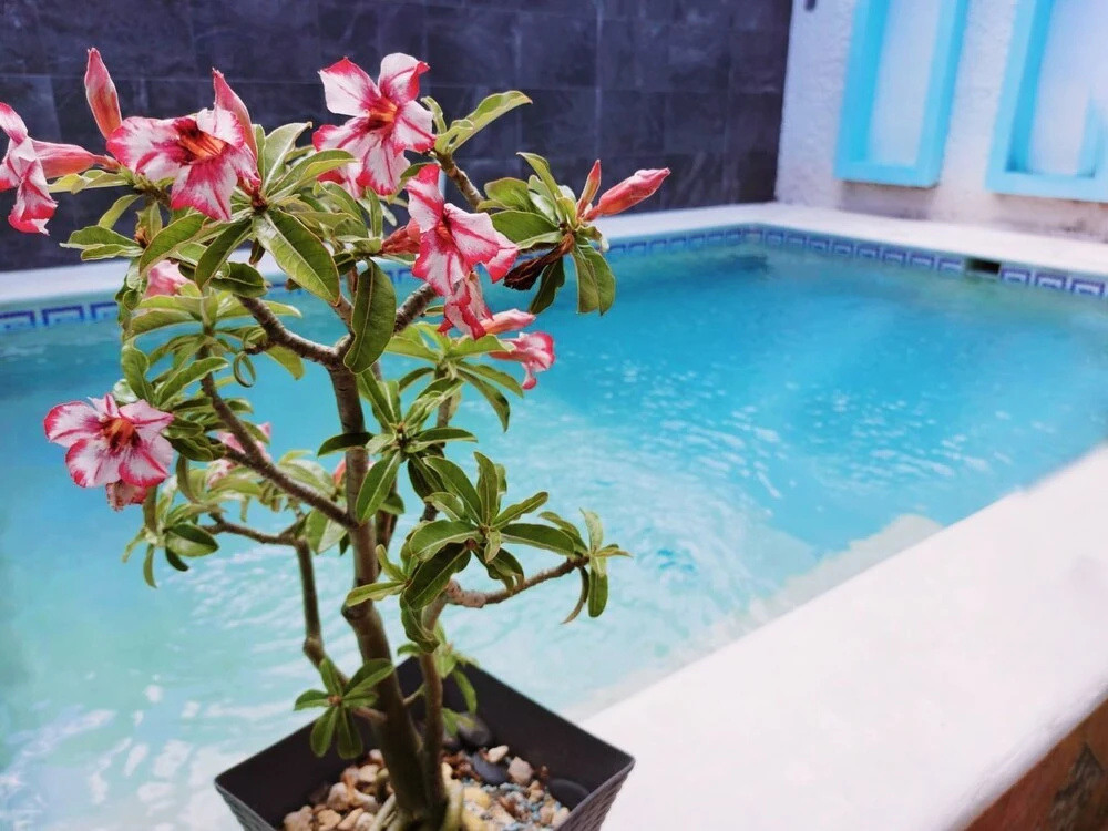 La Giraldilla Hotel