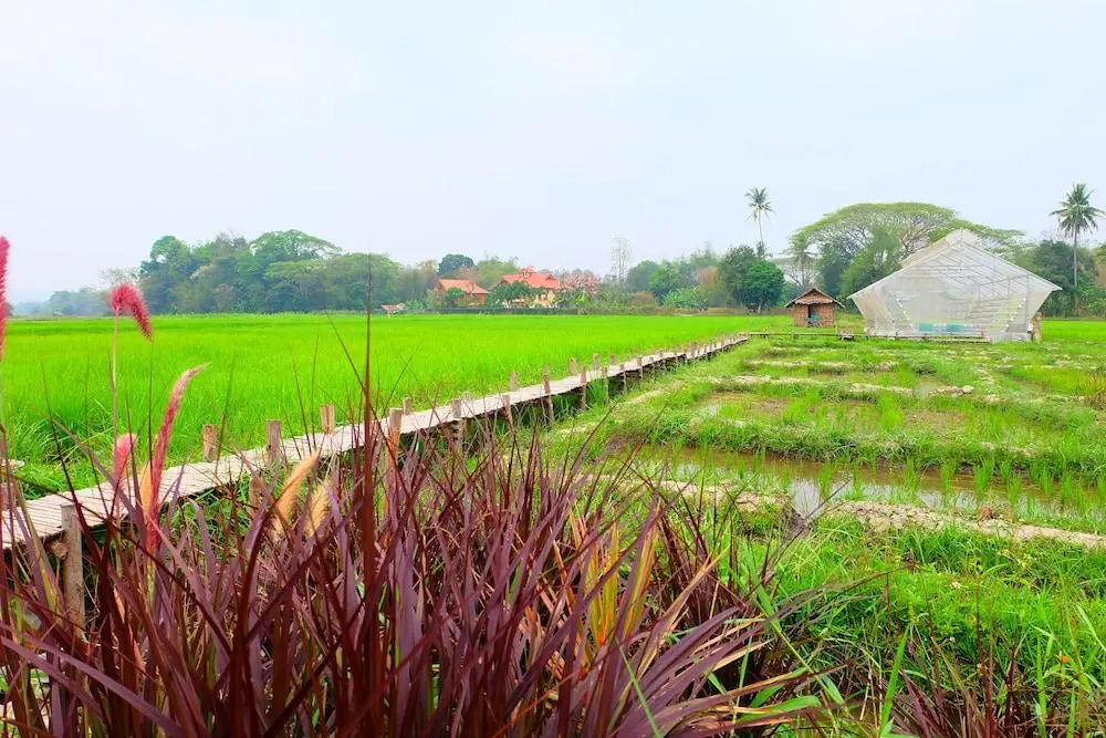 Nanee Maerim Lake View