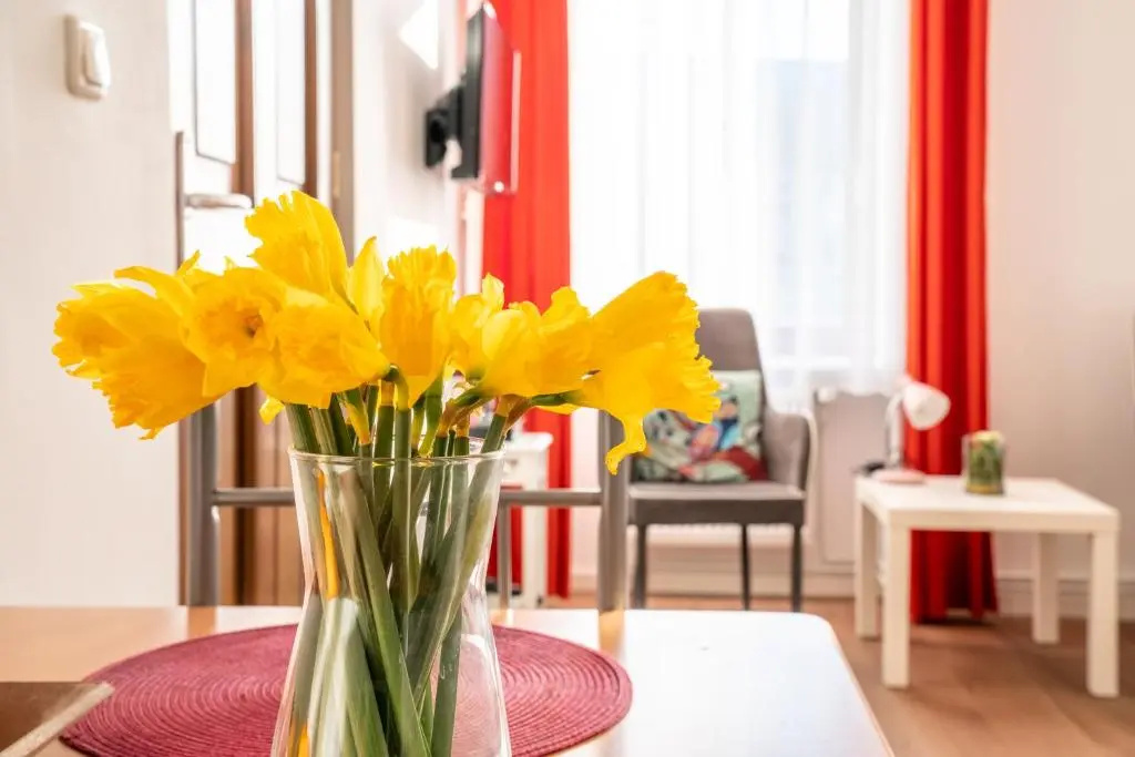 City Studio Apartment for 2, near Sonnenallee