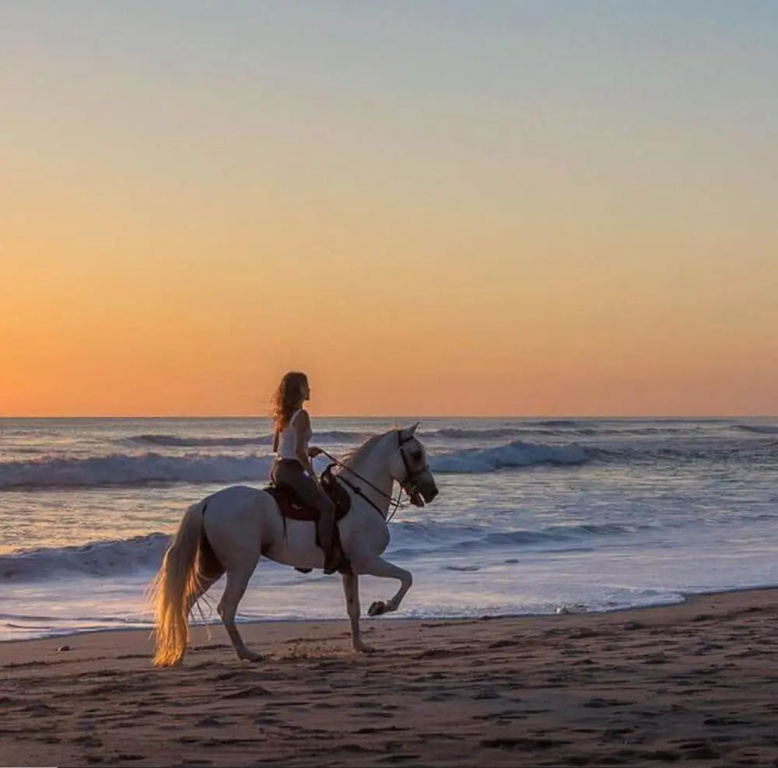 Dreamcatcher Hotel - Live the Dream of Santa Teresa