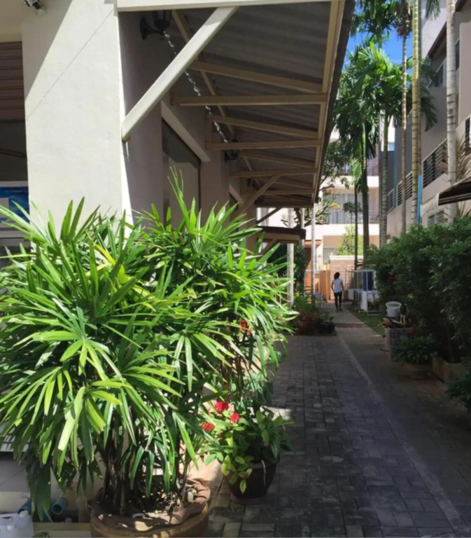 Kata Beach Guesthouse