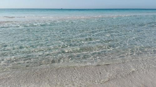 Sosta Camper La Specchia