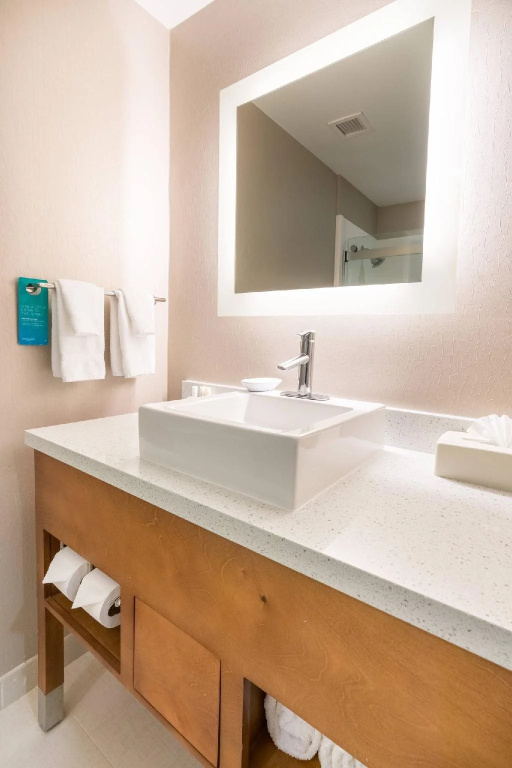 SpringHill Suites by Marriott Denton