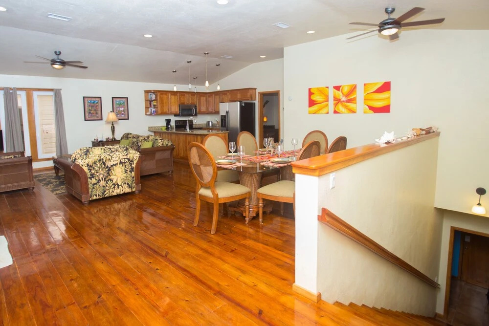 Turtle Casa 6