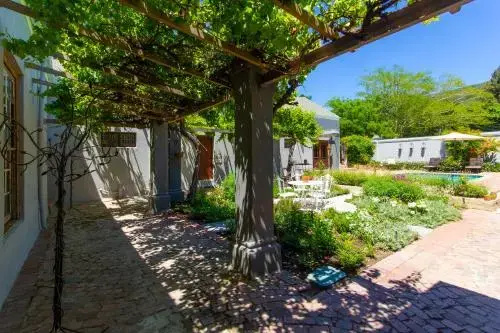 Olive Tree Lodge