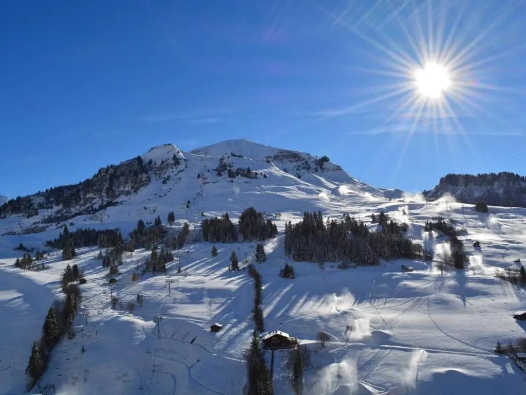 Appartement Le Grand-Bornand, 1 pièce, 4 personnes - FR-1-241-19