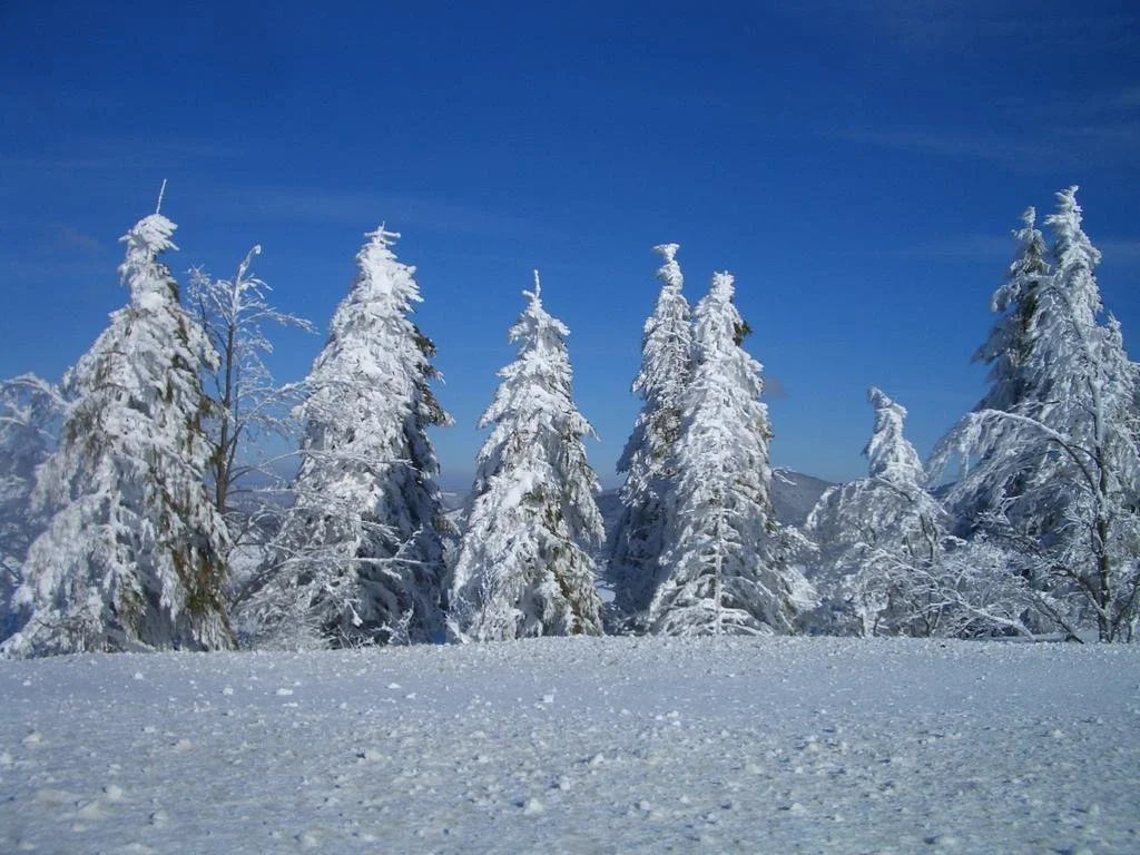 Gasthaus Sonne