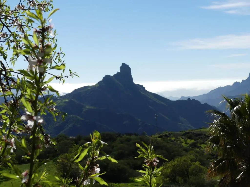 Mountain Hostel&House Finca La Isa by Rose