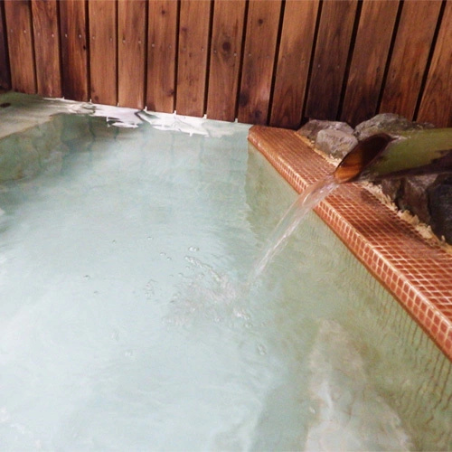 Reisenji Onsen Nakaya Ryokan