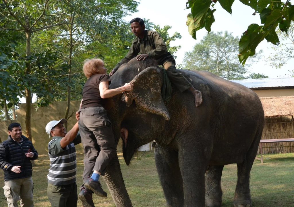 Tigerland Safari - A Lemon Tree Resort, Chitwan, Nepal