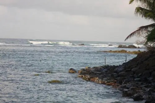 Tropi Turtle Guesthouse