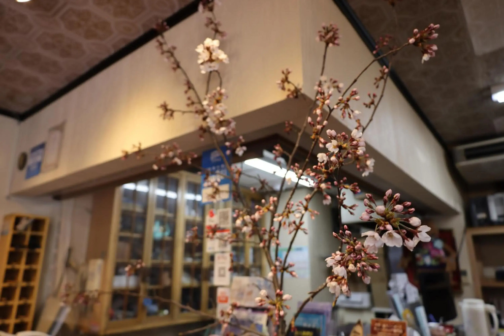 Yuzawa Ski House