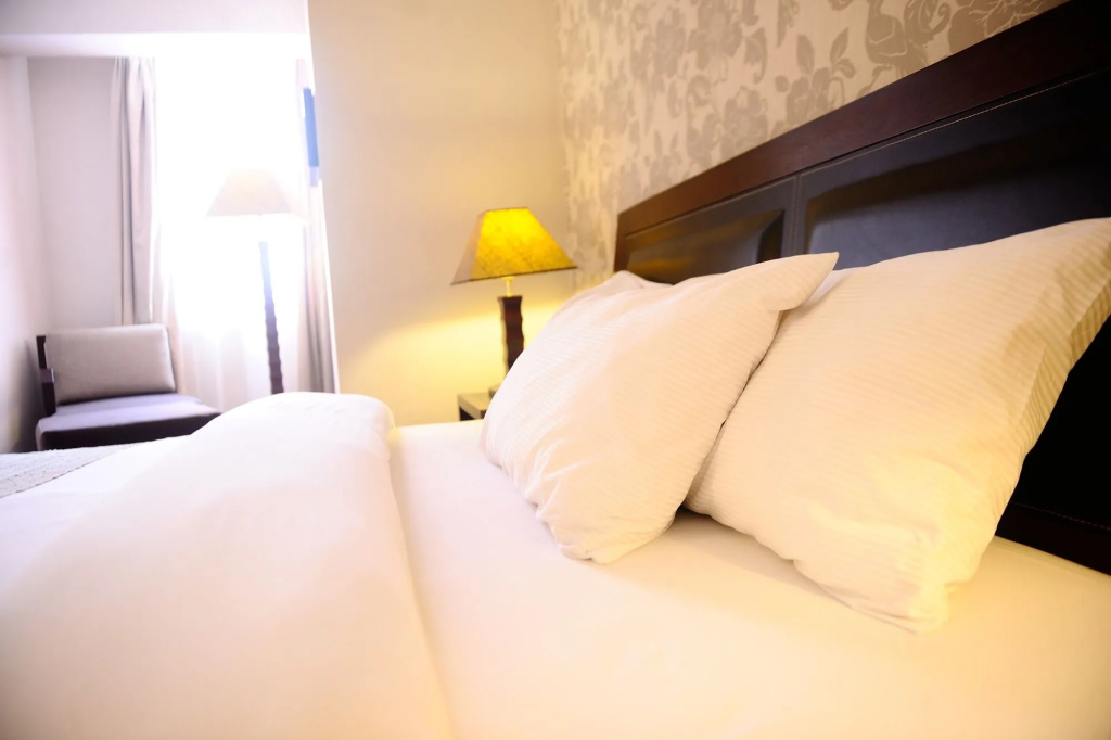 The Blowfish Hotel