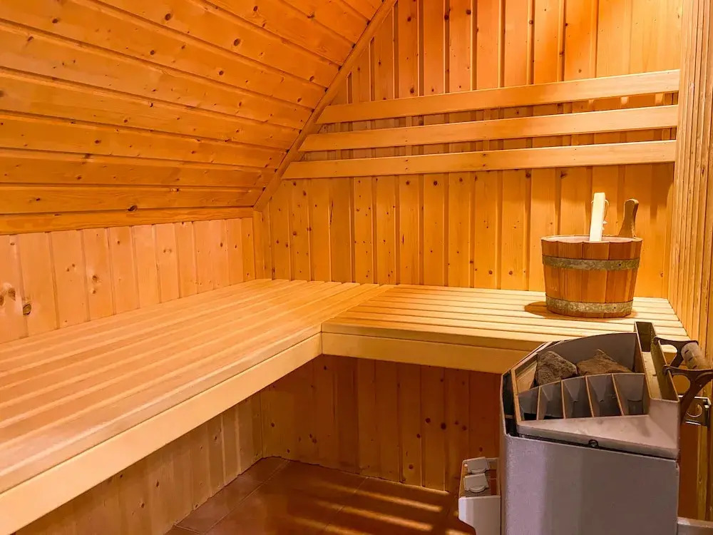 "Lachmöwe" im Möwennest Greetsiel