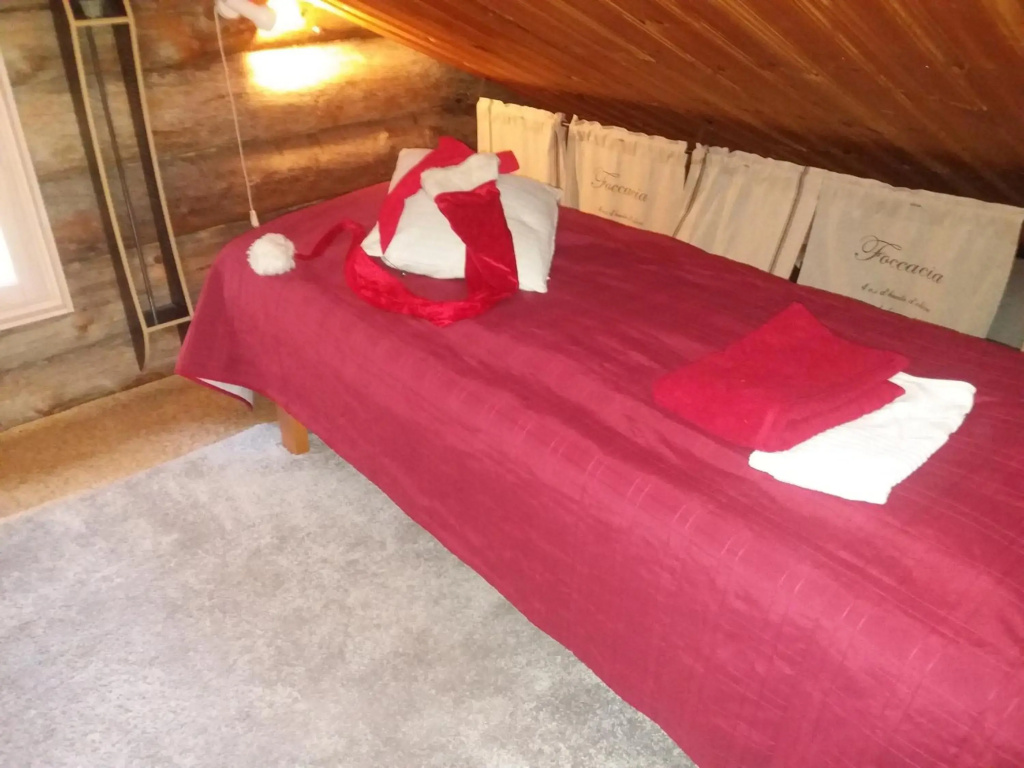 A room (or 2 or 3) in a Lapland House of Dreams