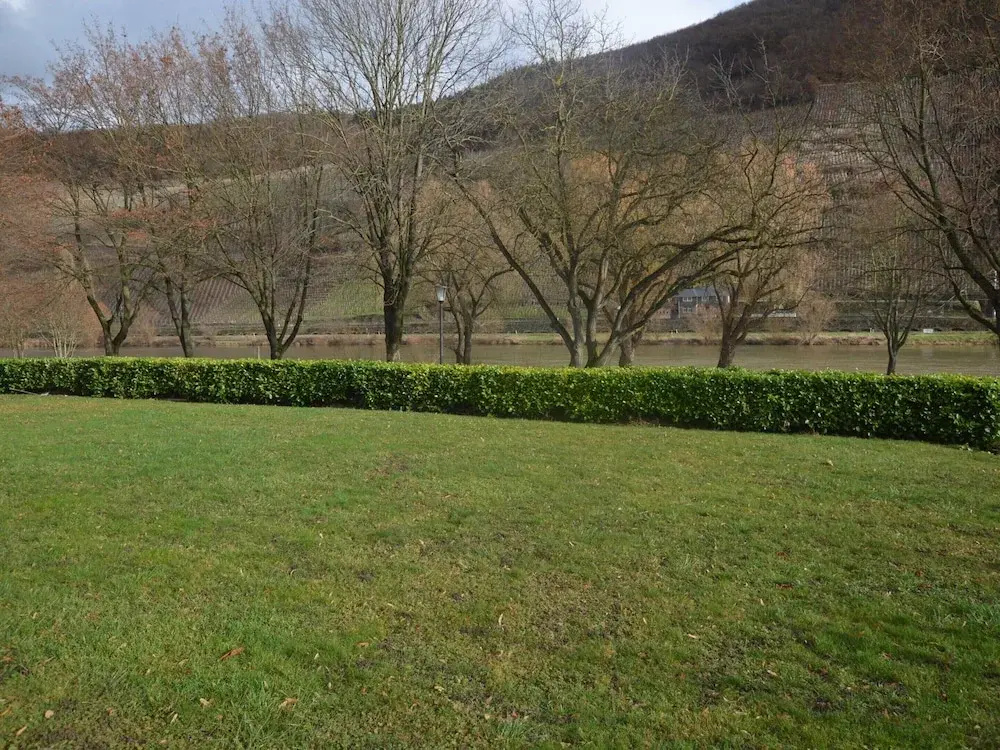 Apartment in Trittenheim With Terrace and Garden