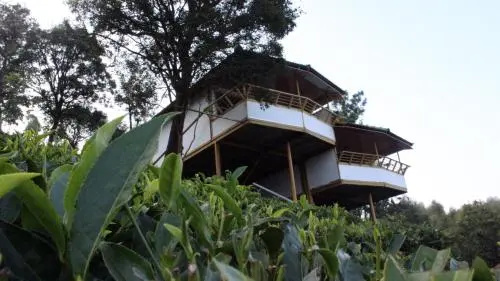 Vythirihills Nature Resort