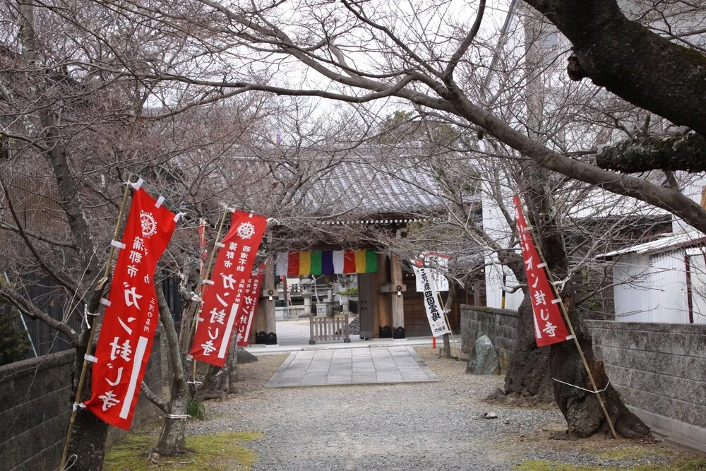 Tokugawano Umi Aoi
