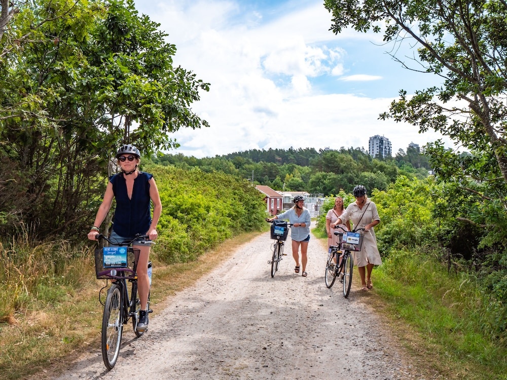 Surfviken Glamping and B&B