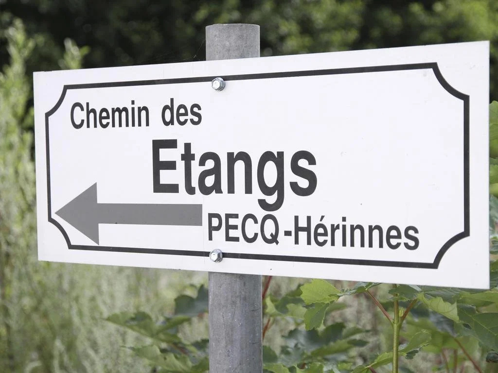 Terre d'Ô