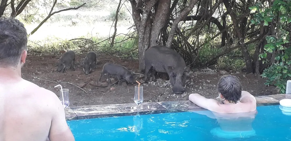Lovely holiday home for a large family or friends bordering Kruger National Park