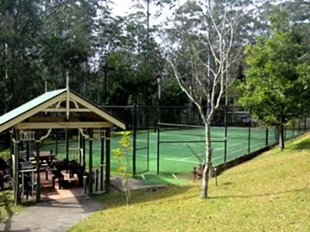 Barrington Wilderness Cedar Lodge Accommodation
