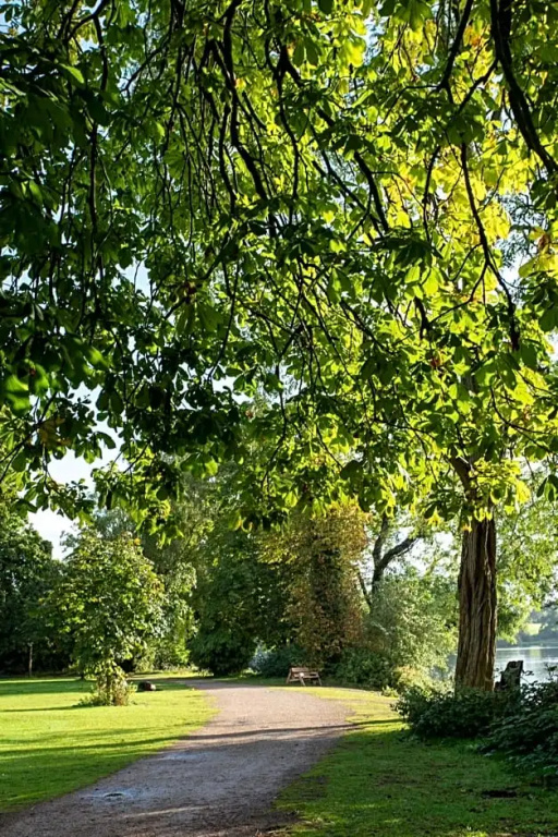 Ellesmere Hotel