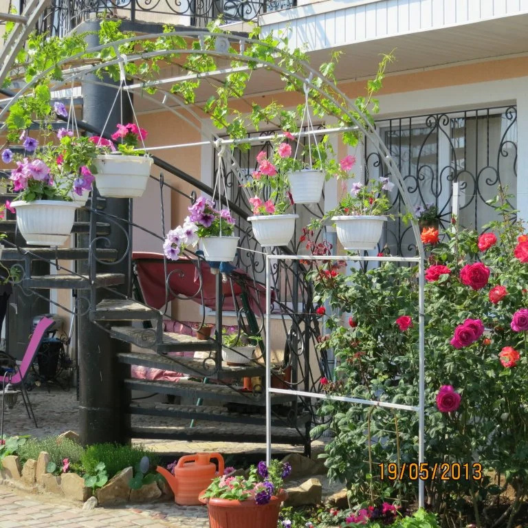 Guest House SV