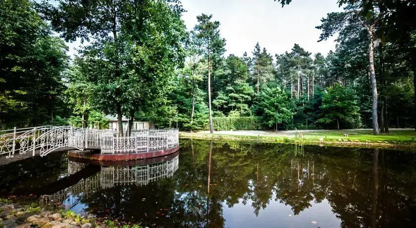 Nostalgia Sokolniki