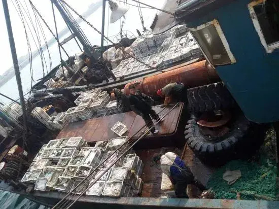 Qingdao Longwan Fisherman's Fun