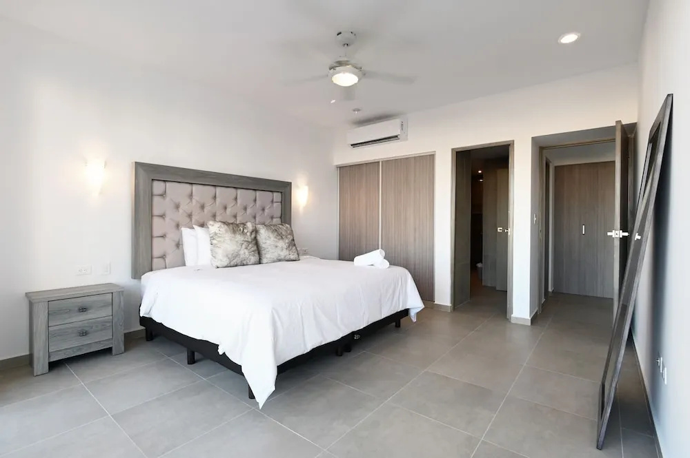 Solea 406