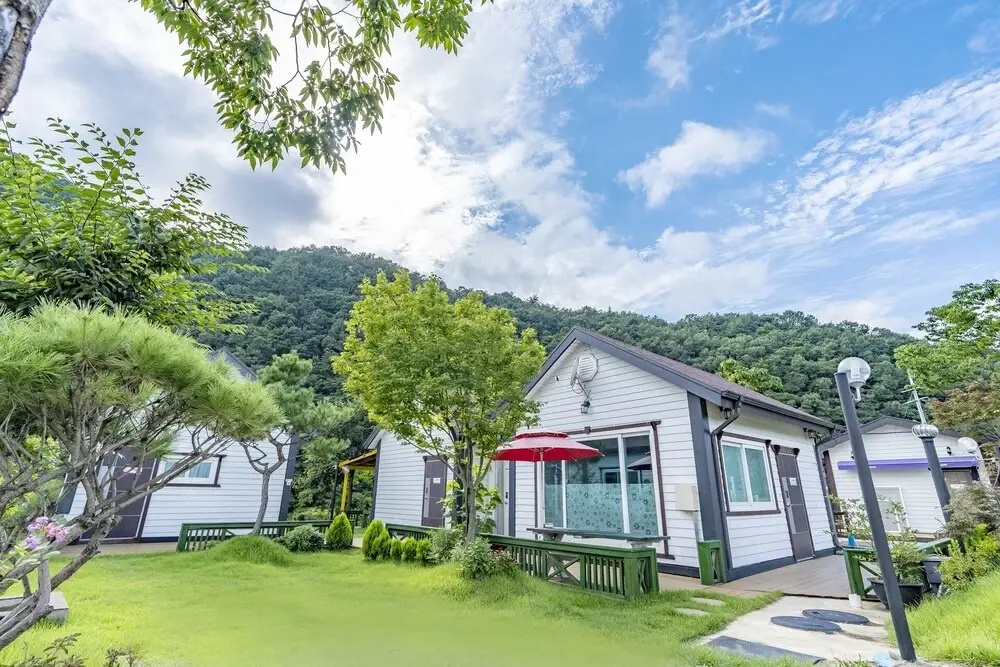 White Pension in Forest