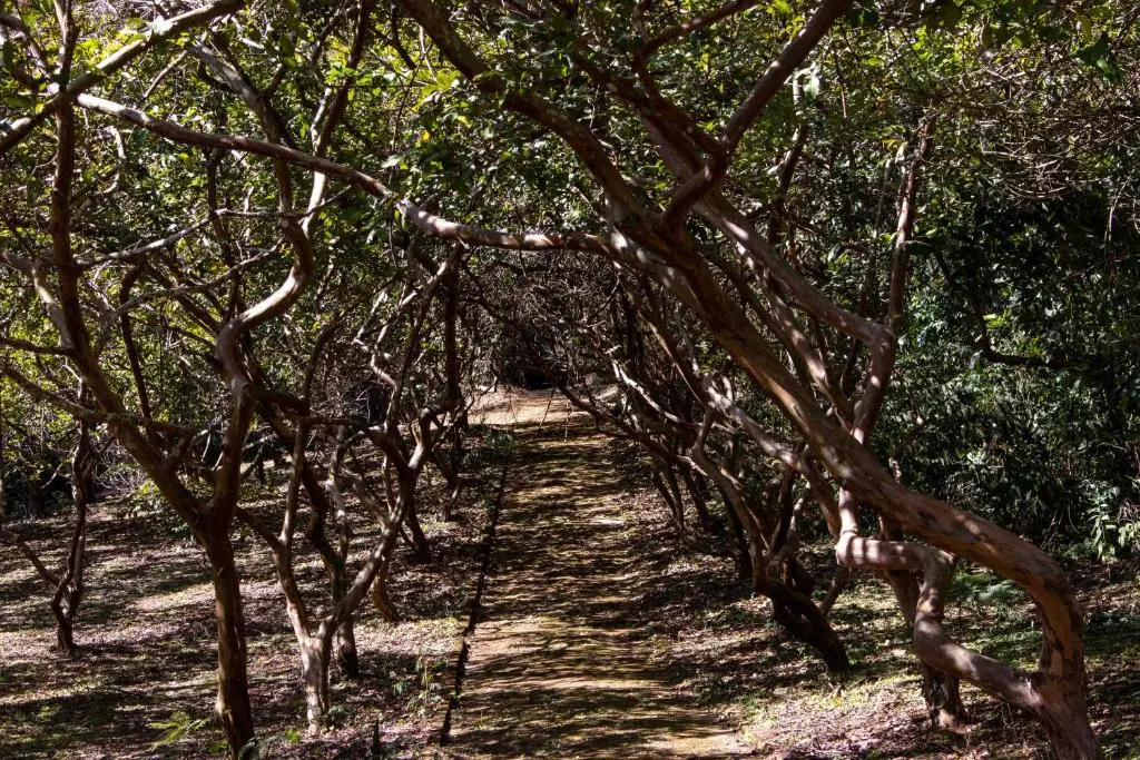 Locanda Bela Vista