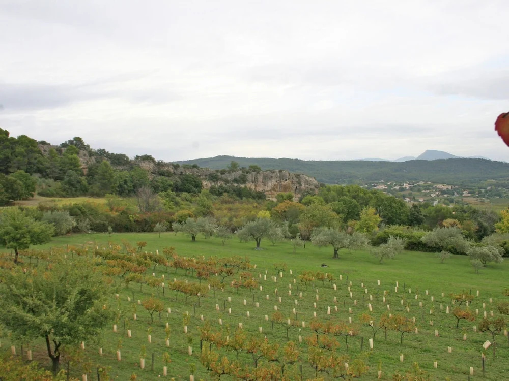 Holiday Home Near Mont Ventoux Pool