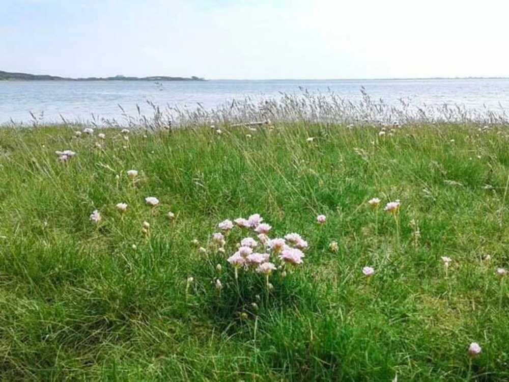 Shoreside